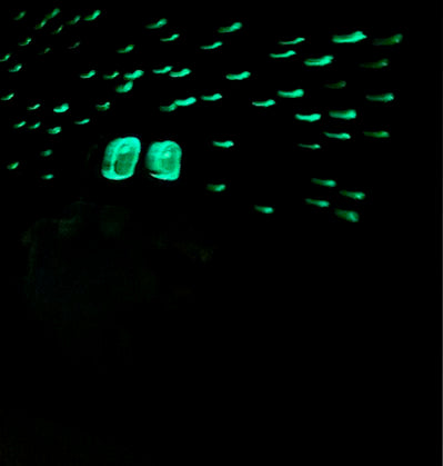 Ghostly Glow
