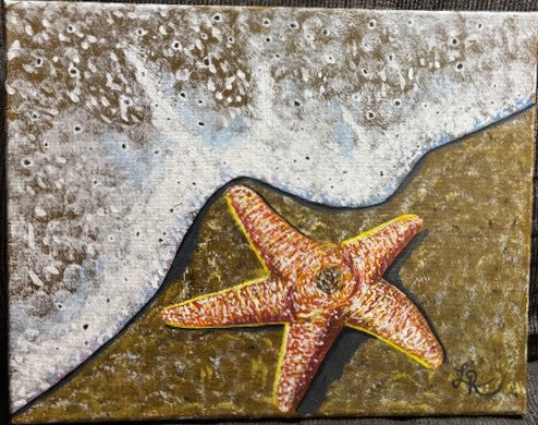 Ocean’s Little Treasure